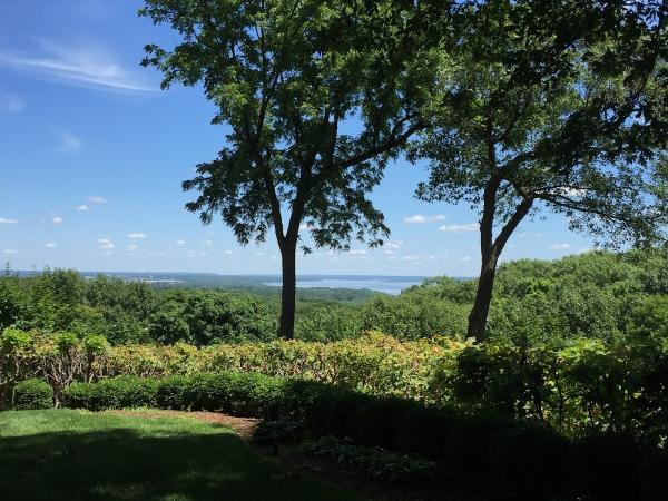 Alive Tree Care
