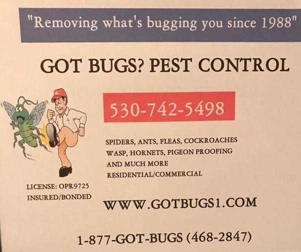 Got Bugs Pest Control