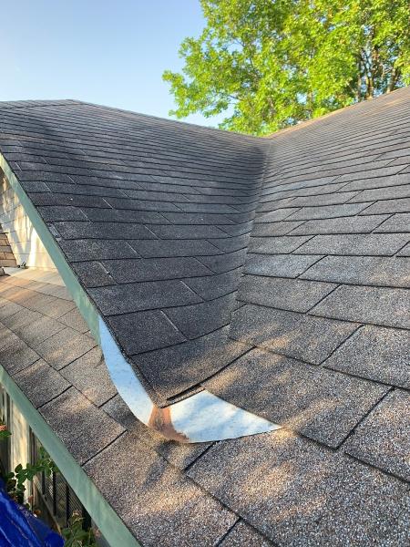 Service Buddy LLC Power Washing & Gutter Cleaning