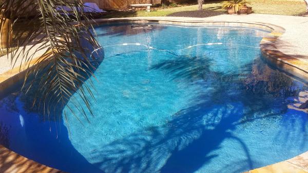 Bluebonnet Custom Pools Inc.