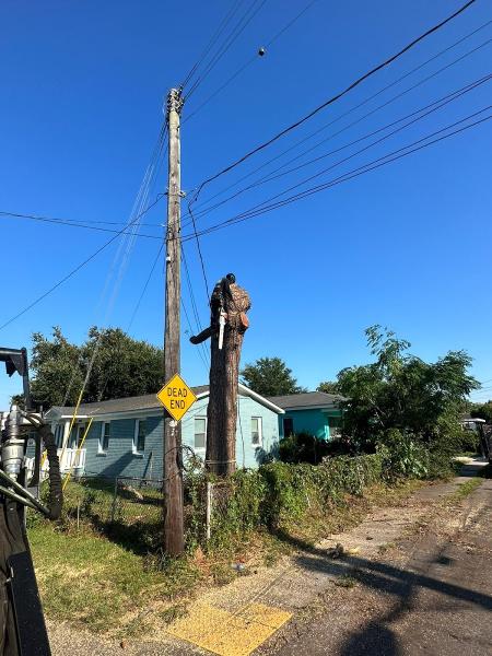 Hernandez Trees and Lawn Care LLC