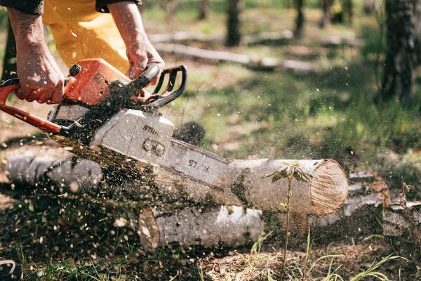 Stamford Landscaping