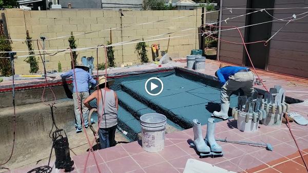Luxe Pools and Landscaping