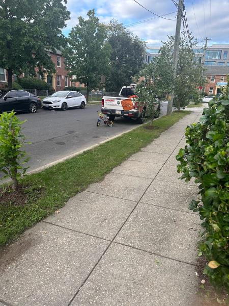 Luzmar House Cleaning