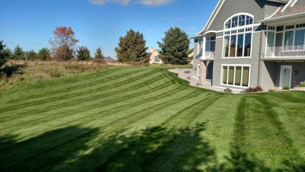 Walker Lawn Care