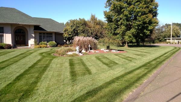 Walker Lawn Care