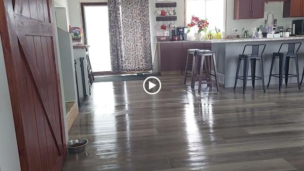 LN Cleaning Services LLC