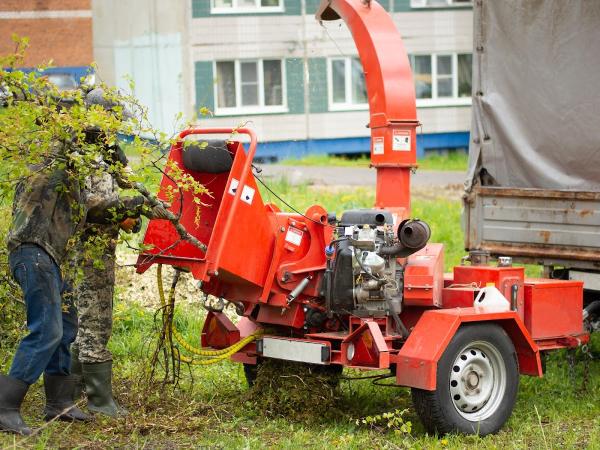 Bronx Tree Pro