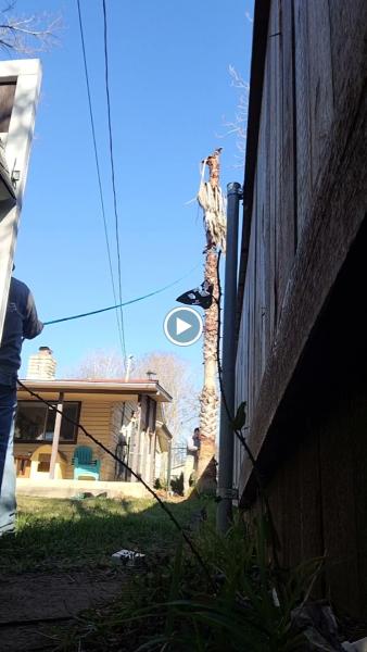 Integrity Tree Service