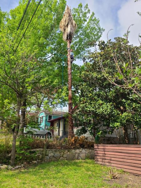 Integrity Tree Service