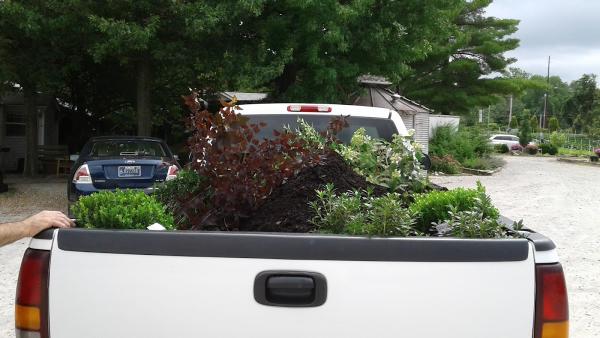 Commercial Landscaping Service Inc