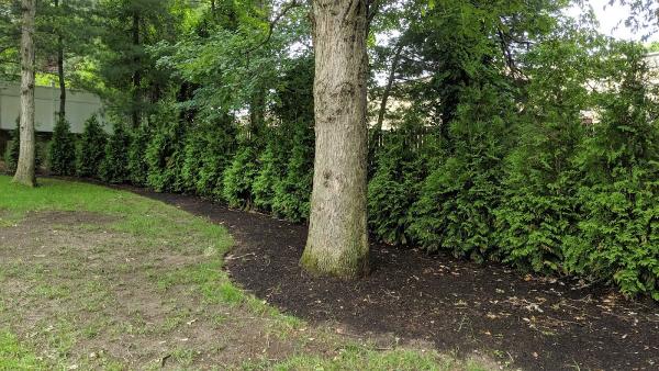 Zadlock Outdoor Services