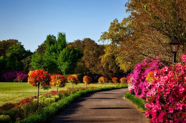 Country Gardens Inc