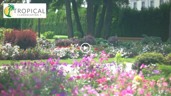 Tropical Landscapes LLC