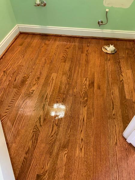 Carpet For Less