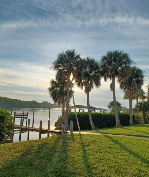 North Port Tree Service