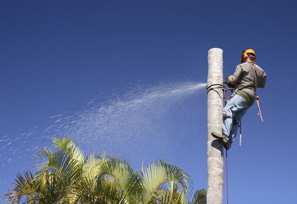 North Port Tree Service