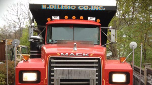 R.dilisio Company