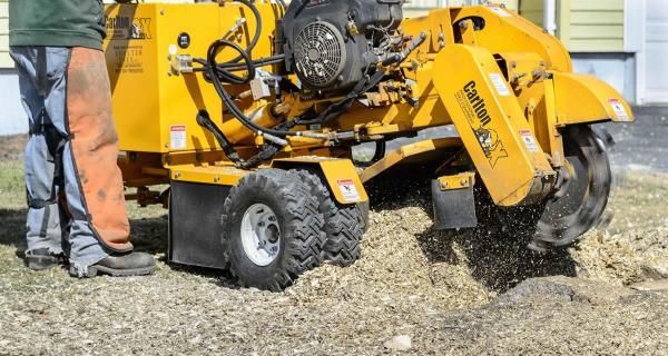 Grand Rapids Stump Grinding