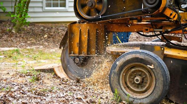 Grand Rapids Stump Grinding