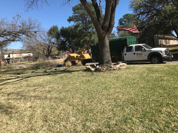 Sosa Tree Services