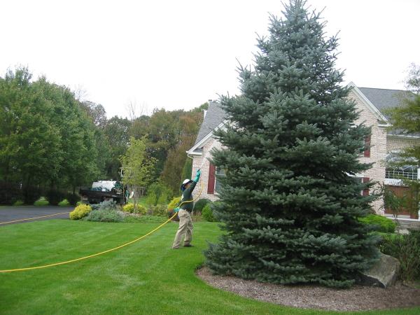 The Lawn Techs