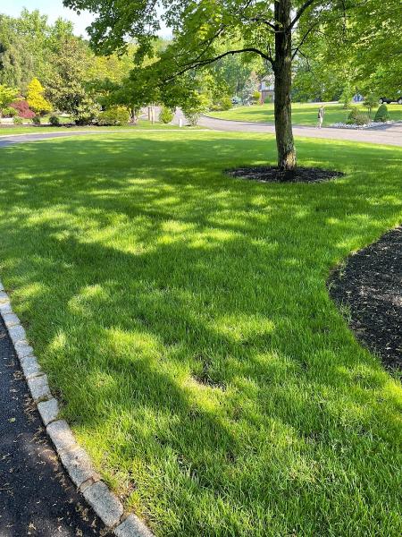 The Lawn Techs