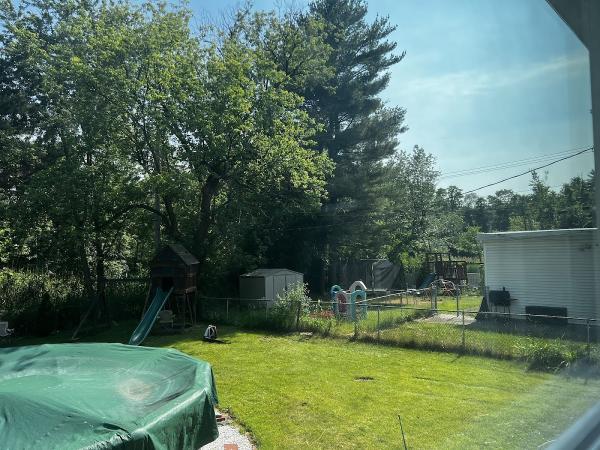 Jj's Professional Tree Service and Stump Removal