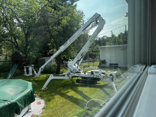 Jj's Professional Tree Service and Stump Removal