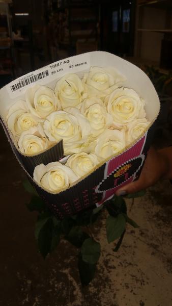 Harold's Wholesale Florist
