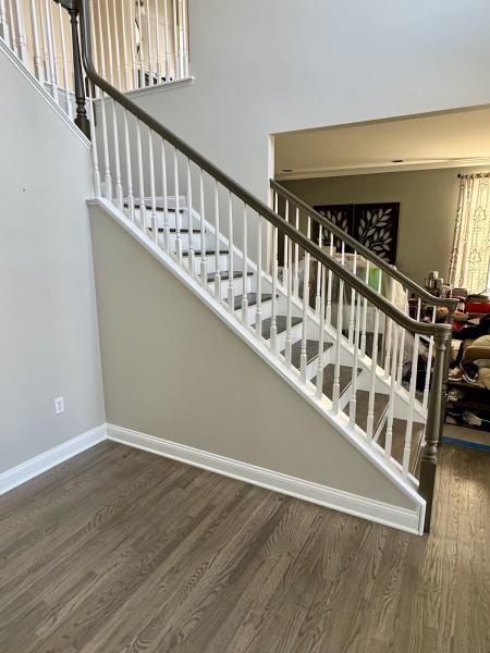 Pro Painters Plus LLC