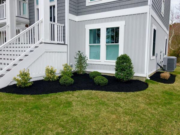 Local's Lawn Care