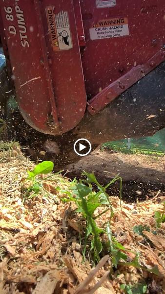 Horizon Tree Service LLC