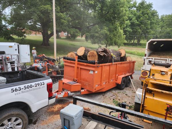 Horizon Tree Service LLC