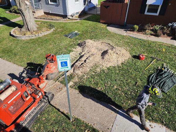 Horizon Tree Service LLC