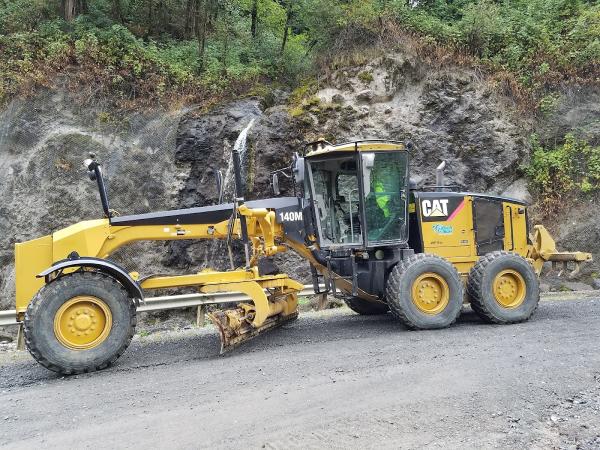 Brahma Bulldozing