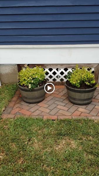 Summer Splendor Landscaping