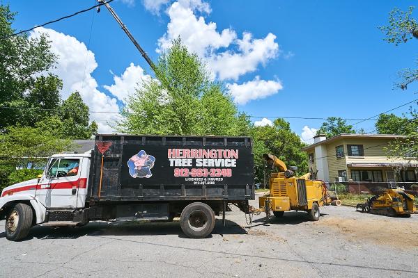 Herrington Tree Services