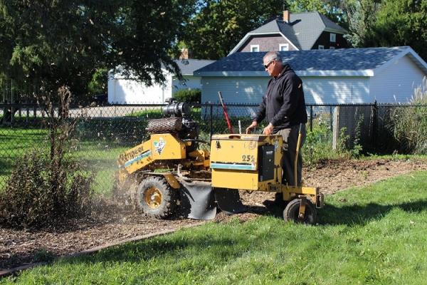 Elite Stump Grinding LLC