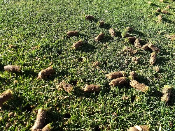 St George Lawn Care