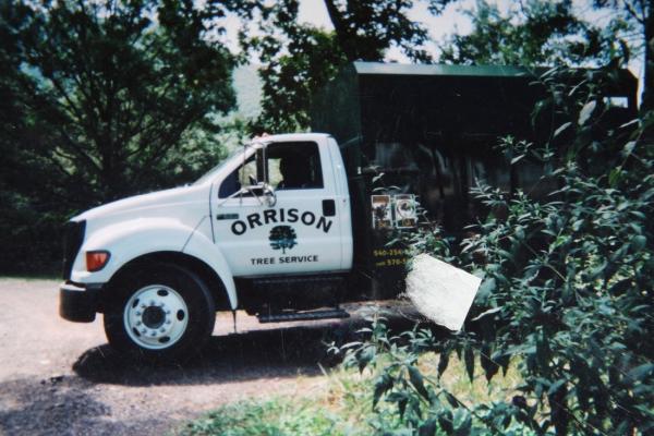 Orrison Tree Service