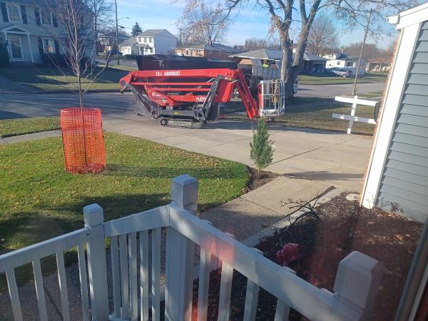 Tree Plucker