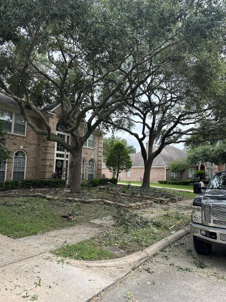 Benito Tree Service