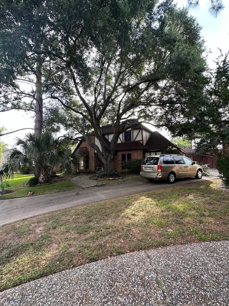 Benito Tree Service