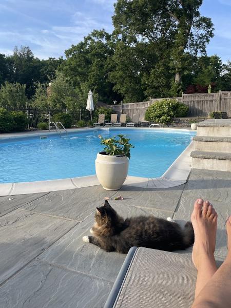 Paul Romanelli & Son Pool Service