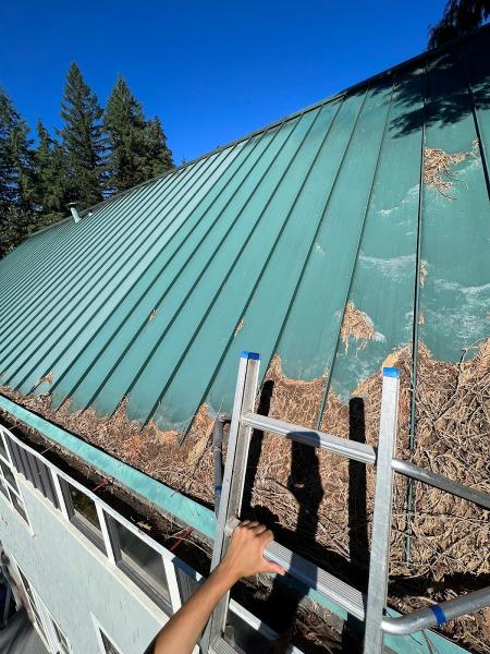 Finishline Pressure Washing
