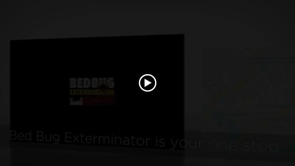 Bed Bug Exterminator Cleveland