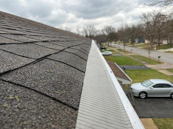 Family Window Washing & Gutter Cleaning