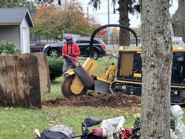 Khoury Brothers Stump Grinding