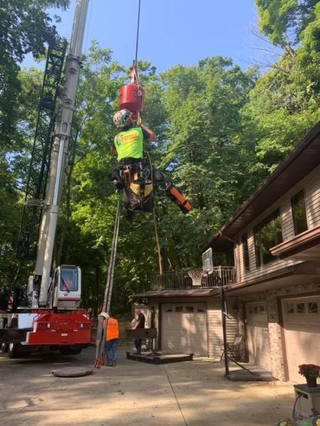 Chappell Tree Service